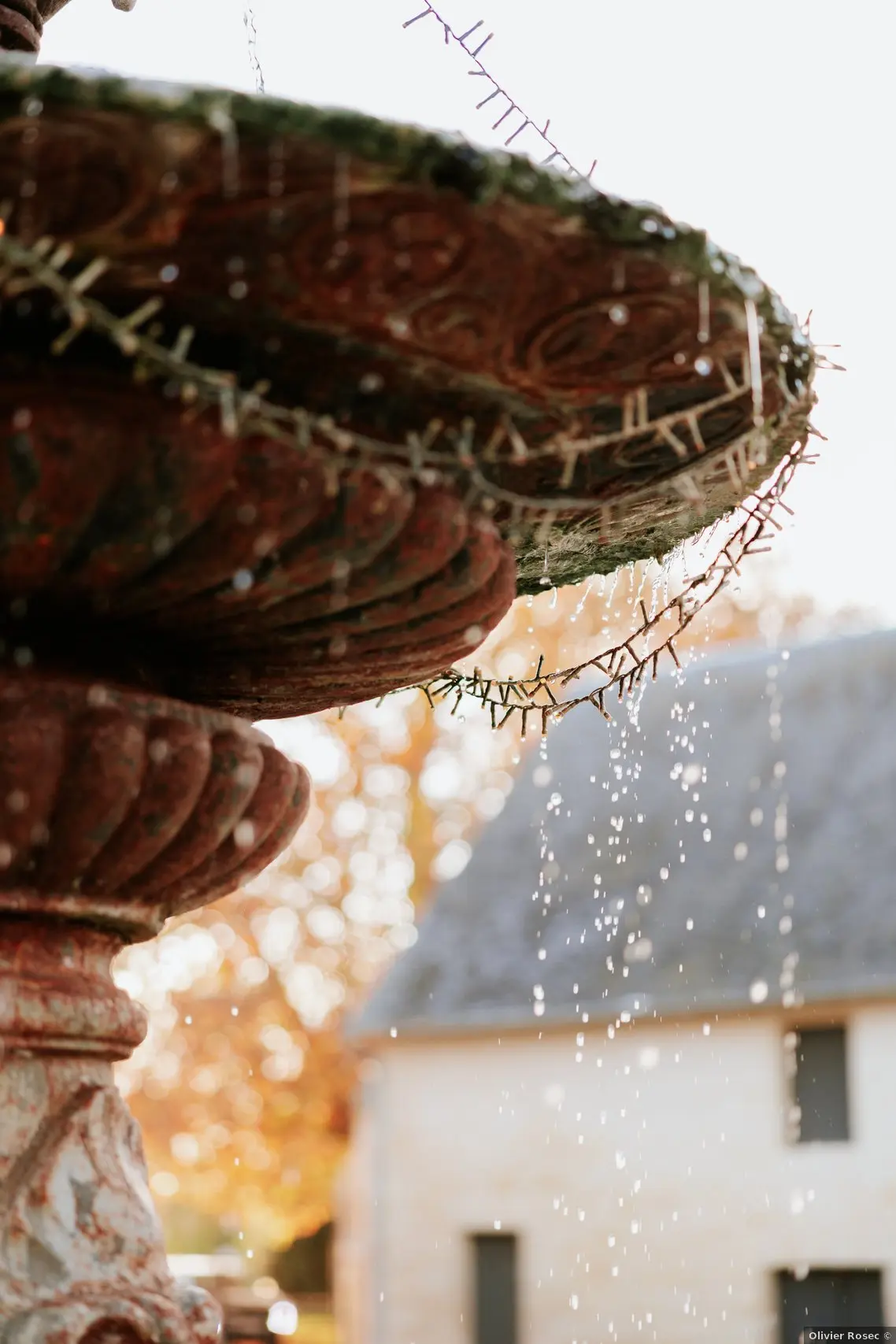 Cocktail mariage cour d'honneur Domaine de la Cour des Lys Calvados — fontaine d'époque en fonte, bokeh doré d'automne au coucher du soleil